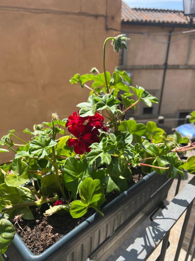 La Rocchetta Holiday home Sutri